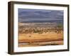 Tsavo National Park, Kenya, East Africa, Africa-Storm Stanley-Framed Photographic Print