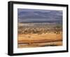 Tsavo National Park, Kenya, East Africa, Africa-Storm Stanley-Framed Photographic Print