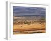 Tsavo National Park, Kenya, East Africa, Africa-Storm Stanley-Framed Photographic Print