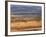 Tsavo National Park, Kenya, East Africa, Africa-Storm Stanley-Framed Photographic Print