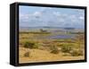 Tsavo River, Tsavo East National Park, Kenya, East Africa, Africa-Sergio Pitamitz-Framed Stretched Canvas