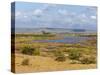 Tsavo River, Tsavo East National Park, Kenya, East Africa, Africa-Sergio Pitamitz-Stretched Canvas