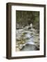 Tschamin Valley, Valle di Ciamin, in the Rosengarten, Catinaccio mountain range.-Martin Zwick-Framed Photographic Print