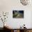 Tsegi Overlook Along the South Rim Drive, Canyon De Chelly National Monument, Arizona, USA-Bernard Friel-Photographic Print displayed on a wall