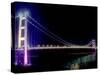 Tsing Ma Bridge, Hong Kong, China-Russell Gordon-Stretched Canvas