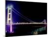 Tsing Ma Bridge, Hong Kong, China-Russell Gordon-Mounted Photographic Print