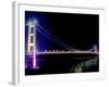 Tsing Ma Bridge, Hong Kong, China-Russell Gordon-Framed Photographic Print