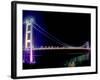 Tsing Ma Bridge, Hong Kong, China-Russell Gordon-Framed Photographic Print