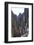 Tsingy de Bemaraha National Park, Melaky Region, Western Madagascar-Carlo Morucchio-Framed Photographic Print