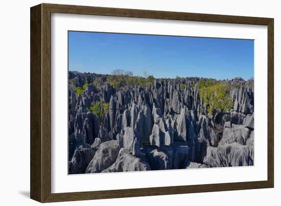 Tsingy de Bemaraha National Park, Melaky Region, Western Madagascar-Carlo Morucchio-Framed Photographic Print