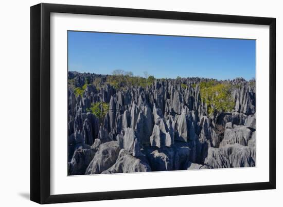 Tsingy de Bemaraha National Park, Melaky Region, Western Madagascar-Carlo Morucchio-Framed Photographic Print