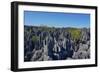 Tsingy de Bemaraha National Park, Melaky Region, Western Madagascar-Carlo Morucchio-Framed Photographic Print