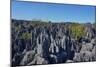 Tsingy de Bemaraha National Park, Melaky Region, Western Madagascar-Carlo Morucchio-Mounted Photographic Print