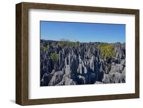 Tsingy de Bemaraha National Park, Melaky Region, Western Madagascar-Carlo Morucchio-Framed Photographic Print