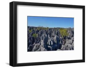 Tsingy de Bemaraha National Park, Melaky Region, Western Madagascar-Carlo Morucchio-Framed Photographic Print