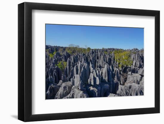 Tsingy de Bemaraha National Park, Melaky Region, Western Madagascar-Carlo Morucchio-Framed Photographic Print