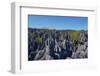 Tsingy de Bemaraha National Park, Melaky Region, Western Madagascar-Carlo Morucchio-Framed Photographic Print