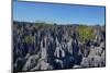 Tsingy de Bemaraha National Park, Melaky Region, Western Madagascar-Carlo Morucchio-Mounted Photographic Print