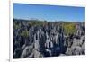 Tsingy de Bemaraha National Park, Melaky Region, Western Madagascar-Carlo Morucchio-Framed Photographic Print