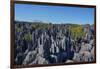 Tsingy de Bemaraha National Park, Melaky Region, Western Madagascar-Carlo Morucchio-Framed Photographic Print