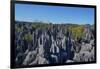 Tsingy de Bemaraha National Park, Melaky Region, Western Madagascar-Carlo Morucchio-Framed Photographic Print