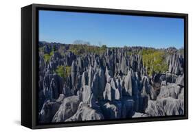 Tsingy de Bemaraha National Park, Melaky Region, Western Madagascar-Carlo Morucchio-Framed Stretched Canvas