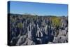 Tsingy de Bemaraha National Park, Melaky Region, Western Madagascar-Carlo Morucchio-Stretched Canvas