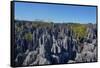 Tsingy de Bemaraha National Park, Melaky Region, Western Madagascar-Carlo Morucchio-Framed Stretched Canvas