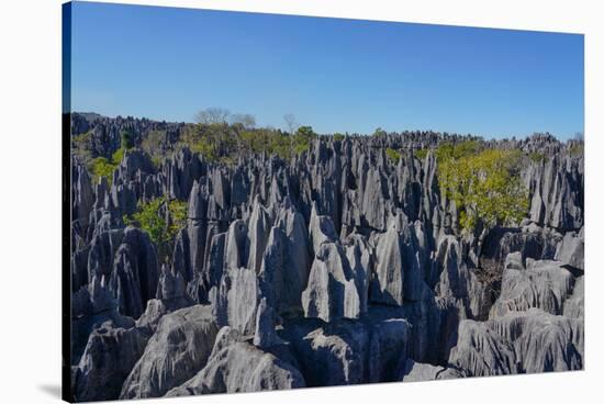 Tsingy de Bemaraha National Park, Melaky Region, Western Madagascar-Carlo Morucchio-Stretched Canvas