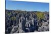 Tsingy de Bemaraha National Park, Melaky Region, Western Madagascar-Carlo Morucchio-Stretched Canvas