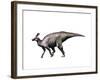 Tsintaosaurus Dinosaur-null-Framed Art Print