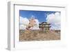 Tsorjiin Khureenii temple and Genghis Khan statue, Middle Gobi province, Mongolia, Central Asia, As-Francesco Vaninetti-Framed Photographic Print