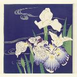 Sanemori, from the series One Hundred No Dramas , 1898-1903-Tsukioka Kogyo-Framed Giclee Print