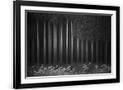 Gramercy Black