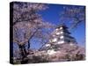 Tsurugajo Castle-null-Stretched Canvas