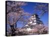 Tsurugajo Castle-null-Stretched Canvas