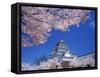 Tsurugajo Castle-null-Framed Stretched Canvas