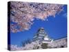 Tsurugajo Castle-null-Stretched Canvas