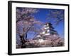 Tsurugajo Castle-null-Framed Photographic Print