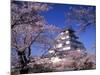 Tsurugajo Castle-null-Mounted Photographic Print