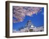 Tsurugajo Castle-null-Framed Photographic Print