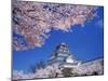 Tsurugajo Castle-null-Mounted Photographic Print
