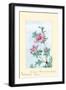 Tsutsuji Rhododendron Judicum-Azalea-Megata Morikaga-Framed Art Print