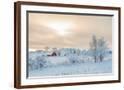 Chelsea Espresso