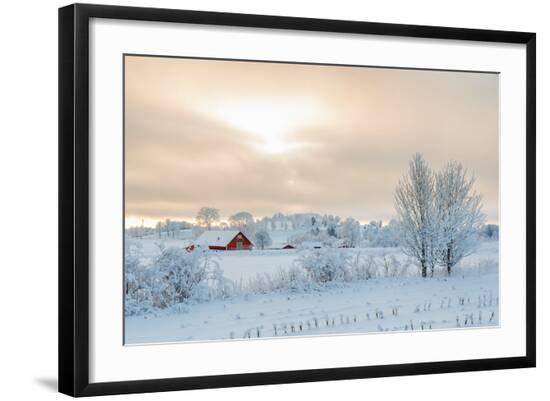 Premium Photographic Print, , large