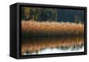 Canvas Black