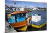 Tthe Fishing Harbour of Ancud, Island of Chiloe, Chile, South America-Peter Groenendijk-Mounted Photographic Print