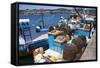 Tthe Fishing Harbour of Ancud, Island of Chiloe, Chile, South America-Peter Groenendijk-Framed Stretched Canvas