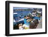 Tthe Fishing Harbour of Ancud, Island of Chiloe, Chile, South America-Peter Groenendijk-Framed Photographic Print