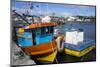 Tthe Fishing Harbour of Ancud, Island of Chiloe, Chile, South America-Peter Groenendijk-Mounted Photographic Print